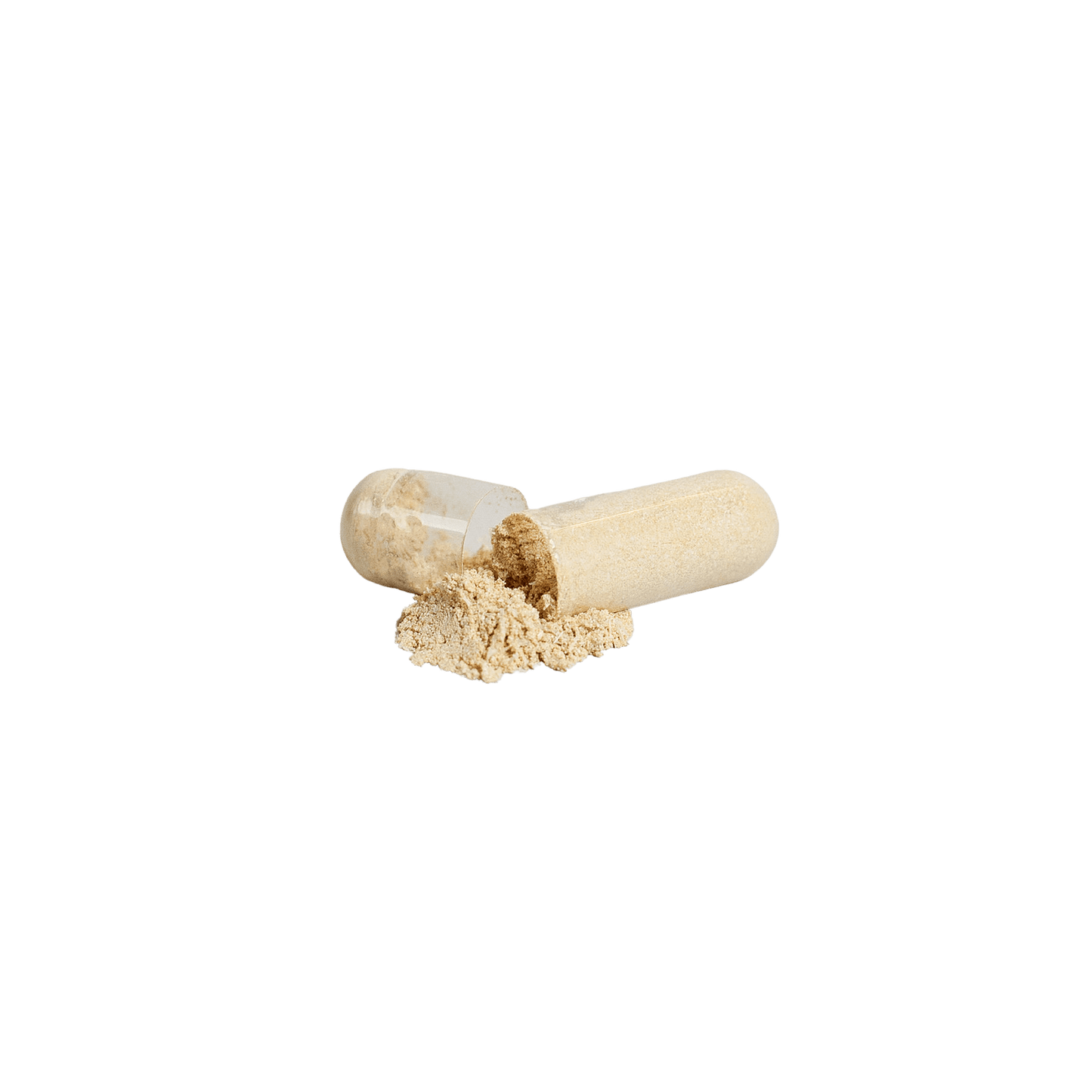 Ashwagandha - Vasara Nutrition