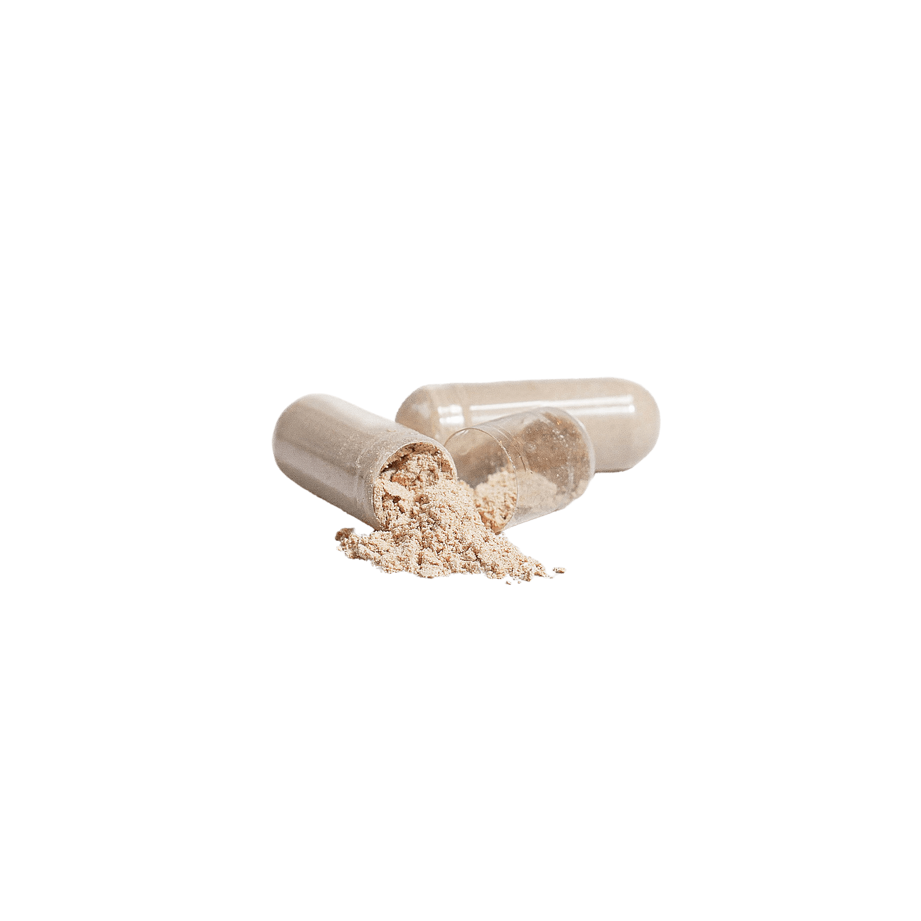 Lion's Mane - Vasara Nutrition