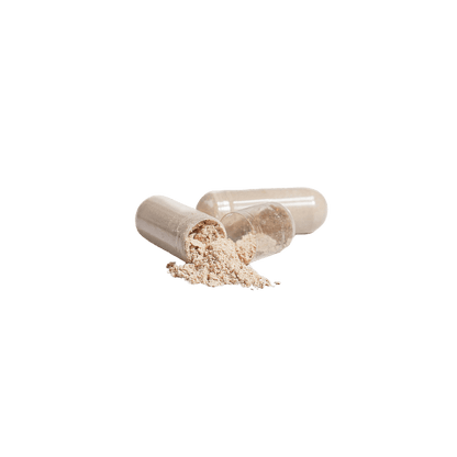 Lion's Mane - Vasara Nutrition